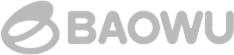 BAOWU logo